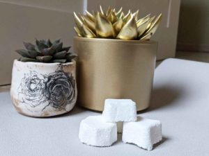 Lire la suite à propos de l’article Faire ses pastilles effervescentes pour WC