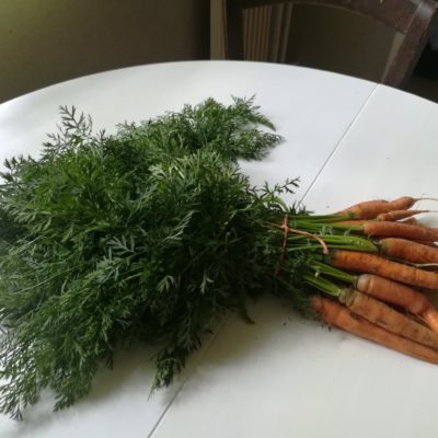 Que faire avec les fanes de carottes ?