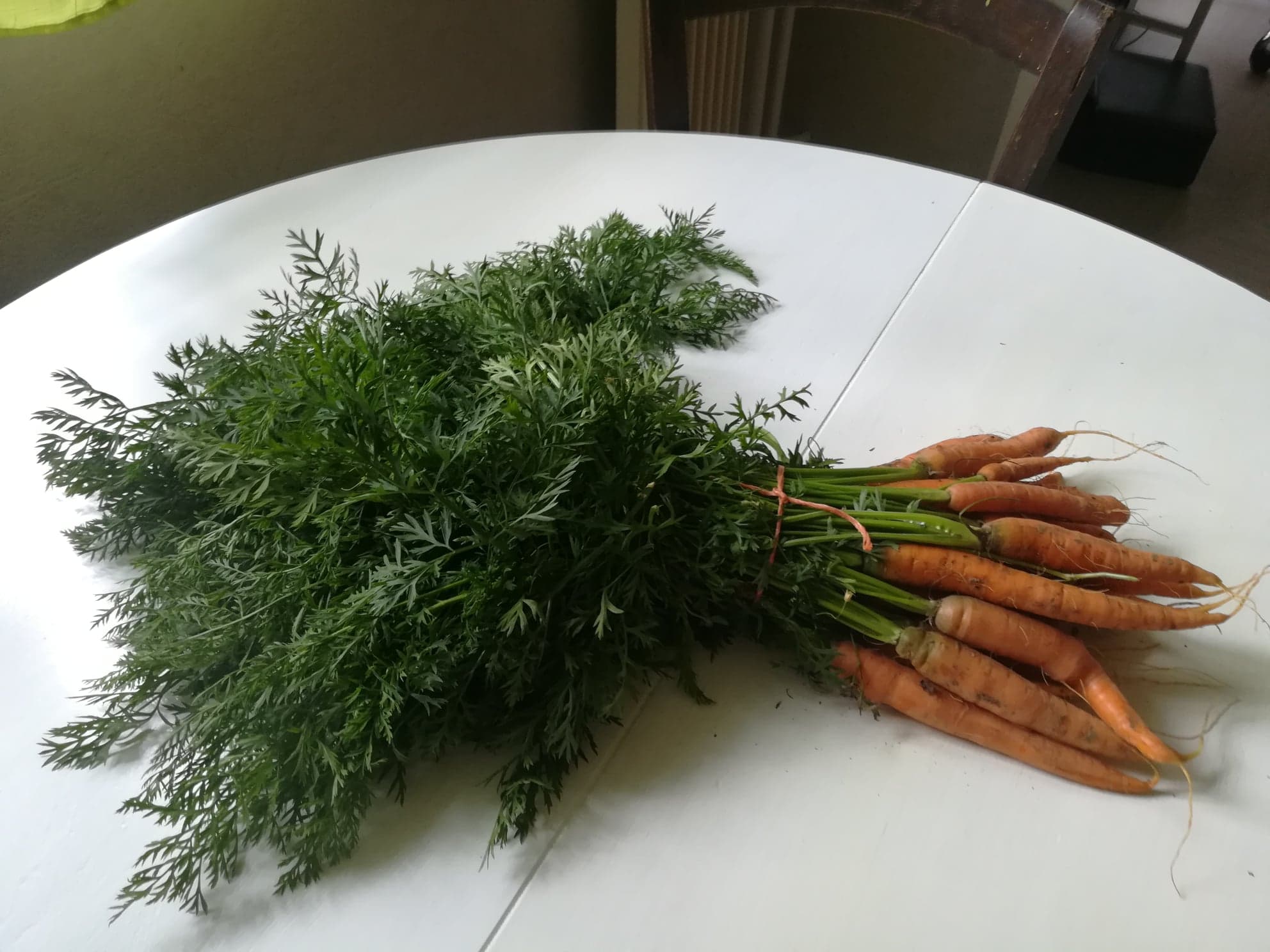 You are currently viewing Que faire avec des fanes de carottes ?