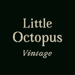 Lire la suite à propos de l’article Destock’ Vintage