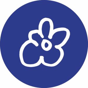 Lire la suite à propos de l’article Rōnin Friperie