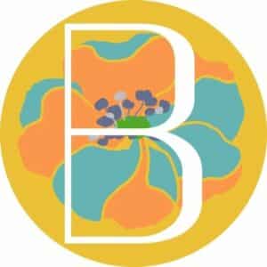 Lire la suite à propos de l’article Brad Boutique