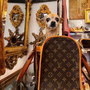 Lire la suite à propos de l’article Mademoiselle